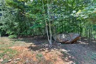 37 Gold Ditch Rd, Cleveland, GA 30528 - Photo 19