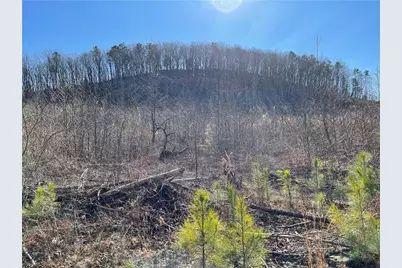 0A Johnson Lake Road #0A, Cedartown, GA 30125 - Photo 15