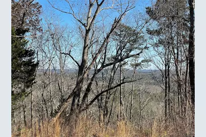 0A Johnson Lake Road #0A, Cedartown, GA 30125 - Photo 5