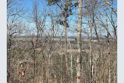 0A Johnson Lake Road #0A, Cedartown, GA 30125 - Photo 3