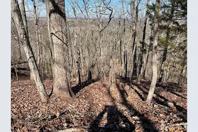 0A Johnson Lake Road #0A, Cedartown, GA 30125 - Photo 7