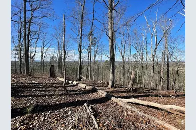 0A Johnson Lake Road #0A, Cedartown, GA 30125 - Photo 11
