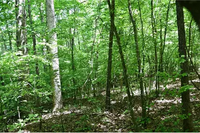00001 Wilson Road, Temple, GA 30179 - Photo 13