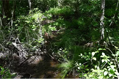 00001 Wilson Road, Temple, GA 30179 - Photo 29