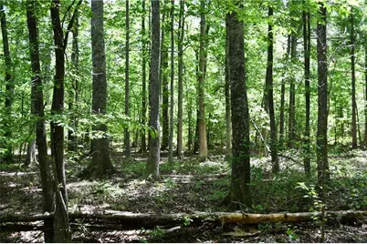 00001 Wilson Road, Temple, GA 30179 - Photo 23