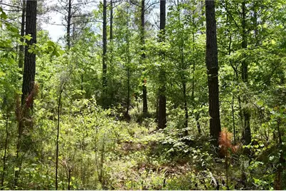 00001 Wilson Road, Temple, GA 30179 - Photo 35