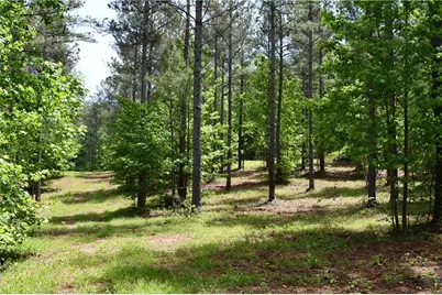 00001 Wilson Road, Temple, GA 30179 - Photo 59