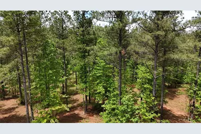 00001 Wilson Road, Temple, GA 30179 - Photo 61