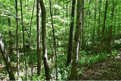 00001 Wilson Road, Temple, GA 30179 - Photo 11