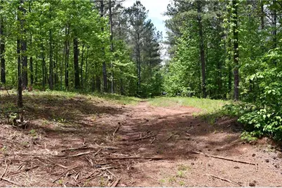 00001 Wilson Road, Temple, GA 30179 - Photo 47