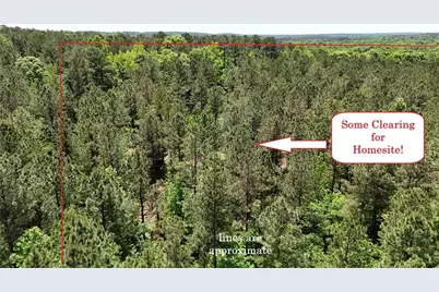 00001 Wilson Road, Temple, GA 30179 - Photo 5