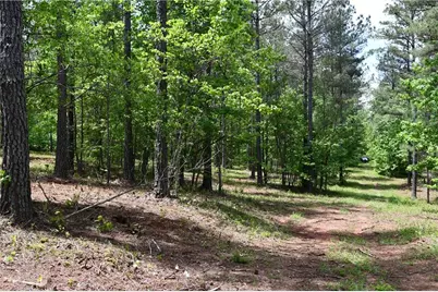 00001 Wilson Road, Temple, GA 30179 - Photo 51