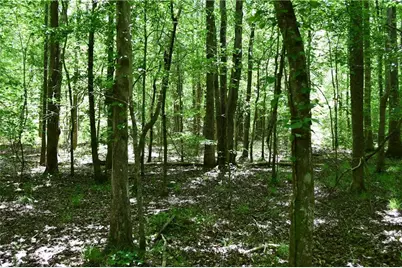 00001 Wilson Road, Temple, GA 30179 - Photo 21