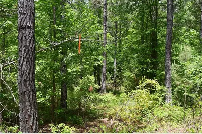 00001 Wilson Road, Temple, GA 30179 - Photo 37