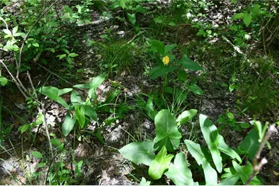 00001 Wilson Road, Temple, GA 30179 - Photo 33