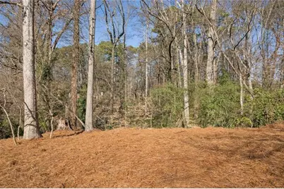 1062 Country Lane NE, Atlanta, GA 30324 - Photo 43
