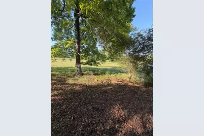 0 Mountain Road, Morganton, GA 30560 - Photo 5