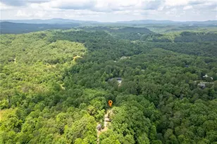 395 Packs Vly, Blue Ridge, GA 30513 - Photo 35