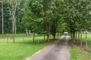 8669 Davis St, Braselton, GA 30517 - Photo 67