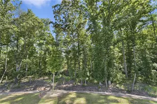 2929 Sweet Red Cir, Braselton, GA 30517 - Photo 67