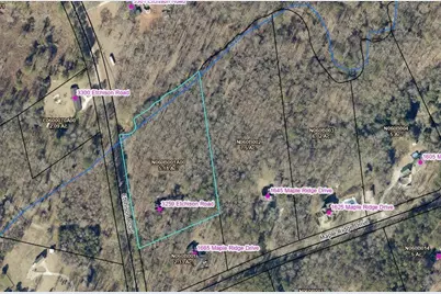 3259 Etchison Road, Loganville, GA 30052 - Photo 45