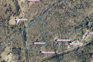 3259 Etchison Rd, Loganville, GA 30052 - Photo 45