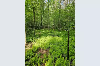 6480 Highway 52 W, Dahlonega, GA 30533 - Photo 3