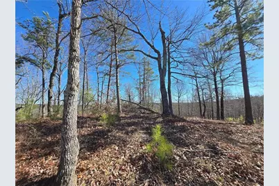 0 Brushy Mountain Road, Rockmart, GA 30153 - Photo 11