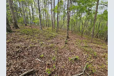 0 Talc Mine Road, Jasper, GA 30143 - Photo 29