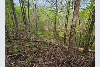 0 Talc Mine Road, Jasper, GA 30143 - Photo 27
