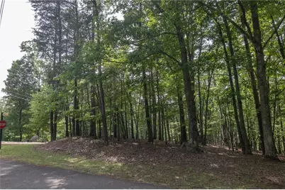 150 Sitting Bull Court, Waleska, GA 30183 - Photo 11