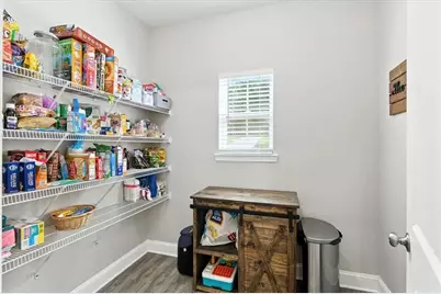 62 Joe Rowell Road, Buchanan, GA 30113 - Photo 39