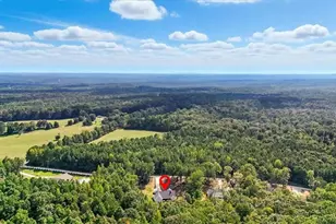 62 Joe Rowell Rd, Buchanan, GA 30113 - Photo 53