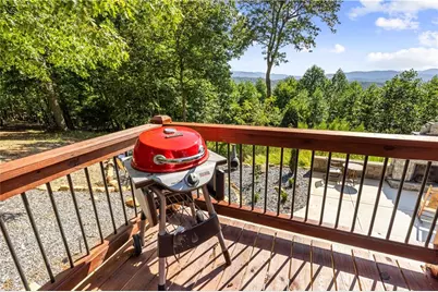 832 Scenic Mountain View Road, Blue Ridge, GA 30513 - Photo 39
