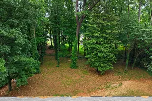 1720 Starlight Dr, Marietta, GA 30062 - Photo 67