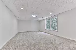 131 Stargaze Ridge, Canton, GA 30114 - Photo 45