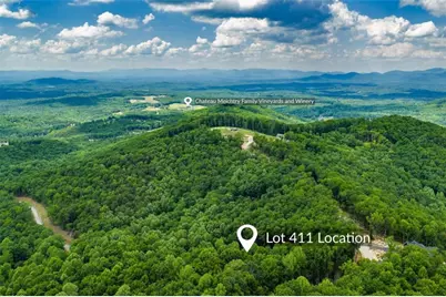 Lt 411 Calloway Mountain Road, Talking Rock, GA 30175 - Photo 3