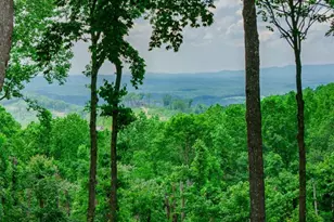 Lt 411 Calloway Mountain Rd, Talking Rock, GA 30175 - Photo 1