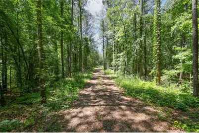 0 Manning Gin Road, Monroe, GA 30656 - Photo 5