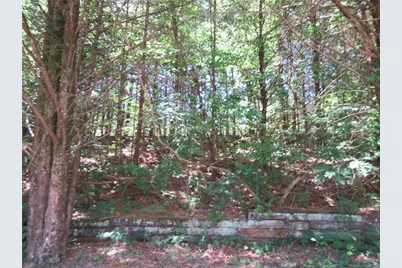620 Mount Pleasant Church Road, Cleveland, GA 30528 - Photo 11