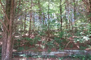 620 Mt Pleasant Church Rd, Cleveland, GA 30528 - Photo 11
