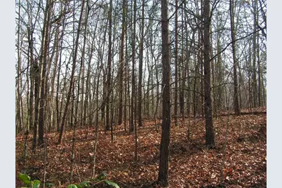 0 Mount Pleasant Church Road, Cleveland, GA 30528 - Photo 1