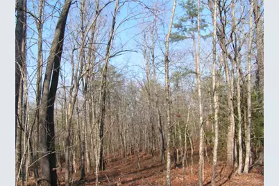 0 Mount Pleasant Church Road, Cleveland, GA 30528 - Photo 7