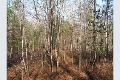 0 Mount Pleasant Church Road, Cleveland, GA 30528 - Photo 3