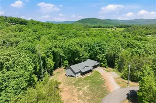 603 Gold Flume Way, Cleveland, GA 30528 - Photo 41