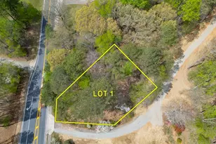 7925 Lotus Walk, Cumming, GA 30041 - Photo 9