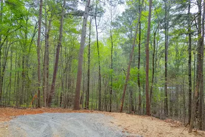7950 Lotus Walk, Cumming, GA 30041 - Photo 11