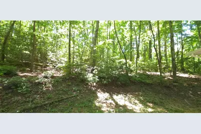 1774 Joe Black Road, Sautee Nacoochee, GA 30571 - Photo 19