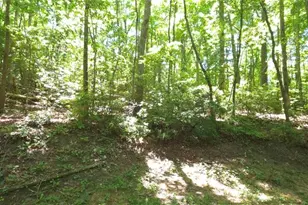 1774 Joe Black Rd, Sautee Nacoochee, GA 30571 - Photo 19