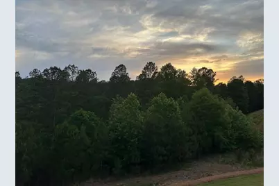 515 Perdue Trail, Canton, GA 30115 - Photo 63